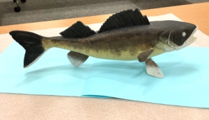 Wood-carved Fish