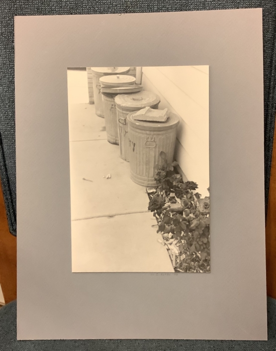 Photo of Garbage Cans
