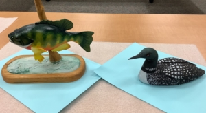 Sunfish and Loon