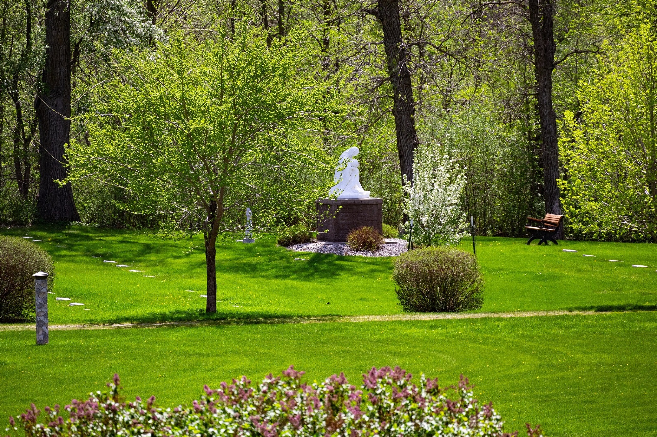 Looking towards the cemetery and woods