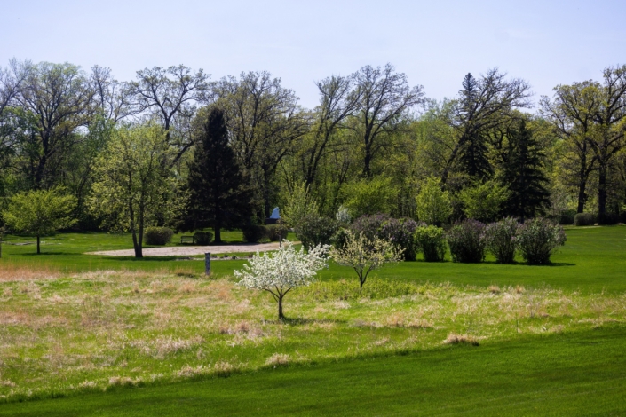 Even the small trees are in bloom!