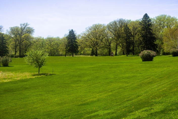 Such green grass!